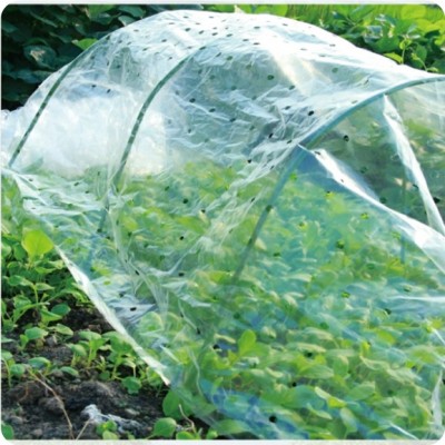 Plastic sheet greenhouse covering PE film