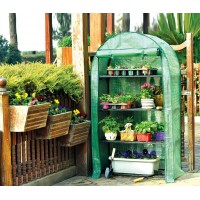 Plastic cover mini garden greenhouse easy diy greenhouse  for flower and plant sale most popular with best price