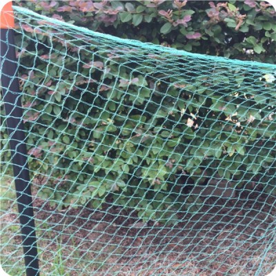 Heavy duty bird control net