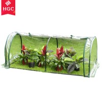 Plastic cover high quality outdoor greenhouse low cost greenhouse with side ventilation for flower and plant